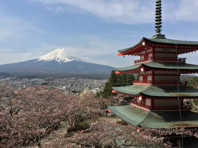 Pagode Chureito entourée de cerisiers en fleurs avec le mont Fuji en arrière-plan, incontournable du Japon