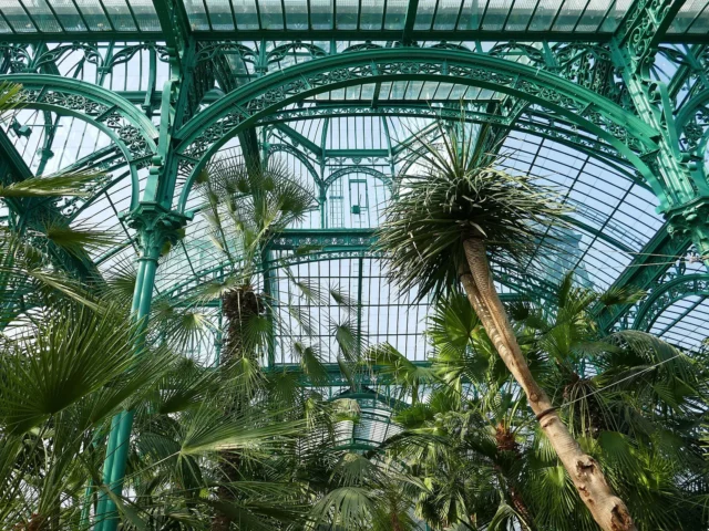 Palmiers sous les arches de fer forgé des Serres royales de Laeken à Bruxelles, ouvertes au public au printemps