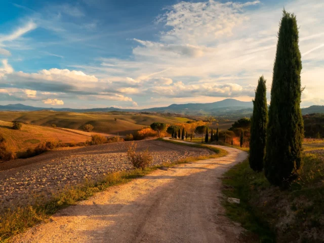 Chemin bordé de cyprès dans les collines du Val d'Orcia en Toscane, étape phare d'un itinéraire de 10 jours en Italie