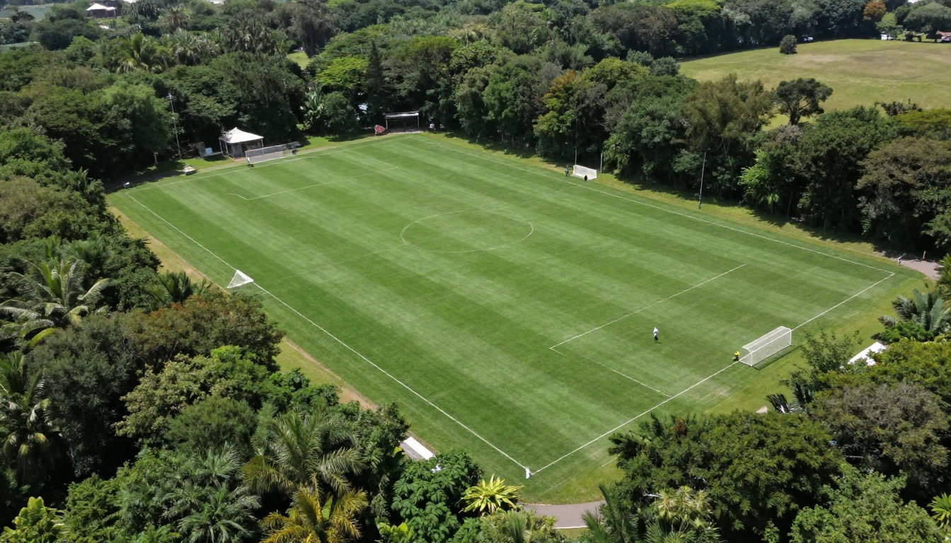 Cap au nord : Henningsvær et les pépites moins connues