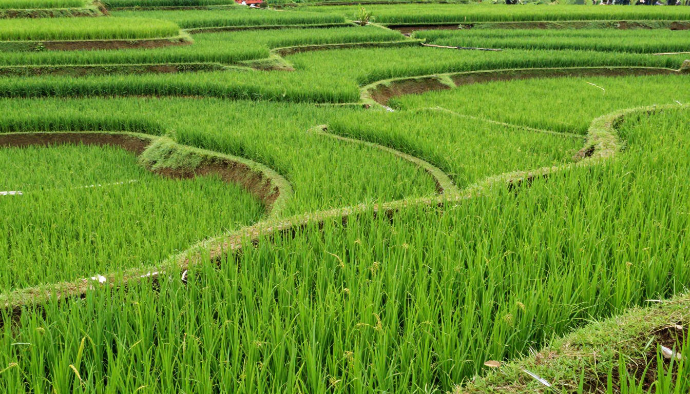 Itinéraire Bali 2 semaines : Ubud et le cœur culturel