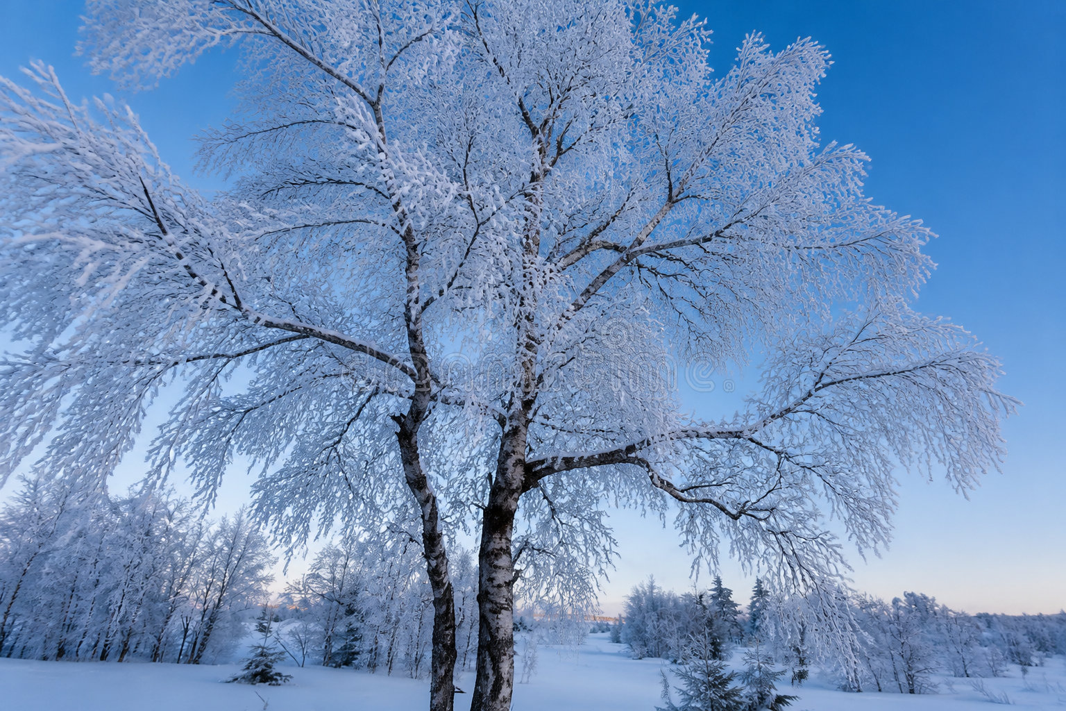 Météo et destination janvier belgique : entre grisaille et flocons