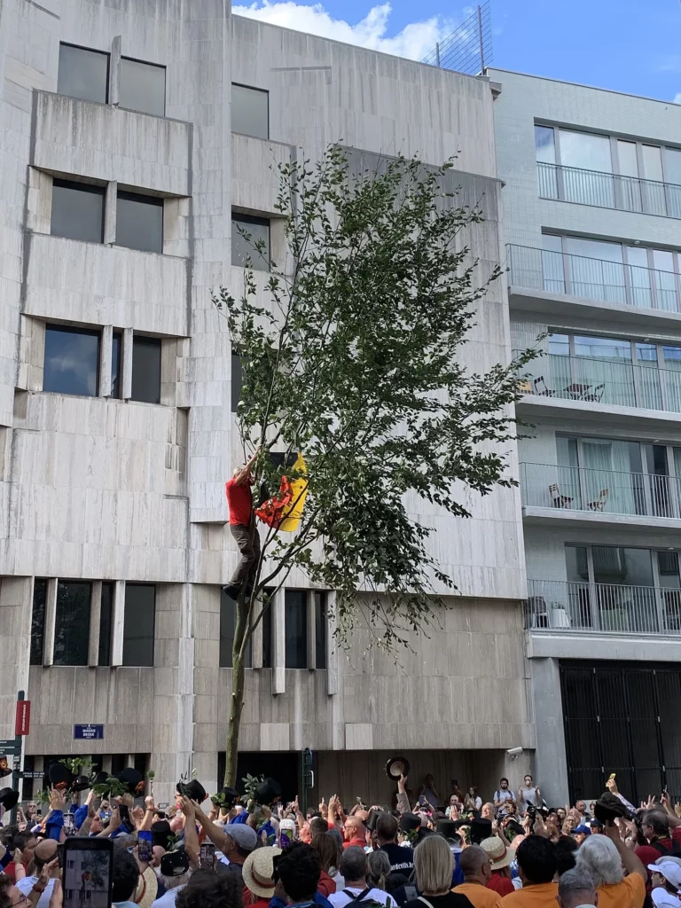 Un porteur hisse le drapeau belge au sommet du Meyboom fraîchement planté devant la foule à Bruxelles, chaque 9 août