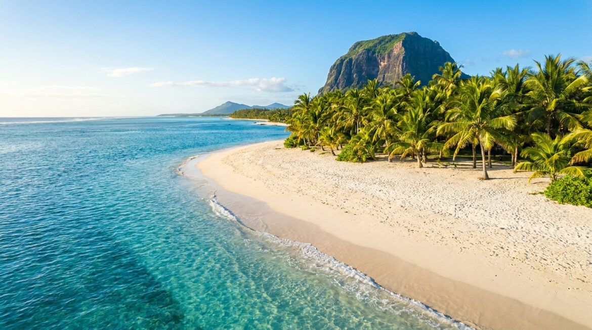 Vue aérienne d'une plage de sable blanc bordée de palmiers avec le Morne Brabant en arrière-plan à l'île Maurice.