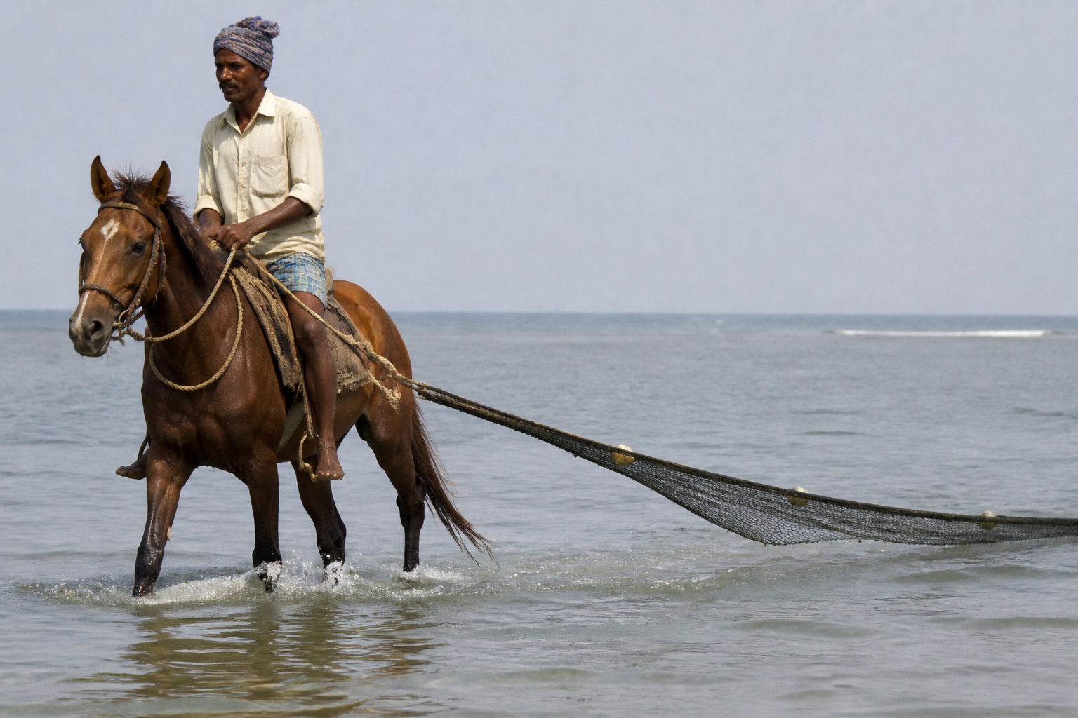 Folklore belge les 10 traditions à découvrir absolument 25 La Pêche aux crevettes à cheval à Oostduinkerke