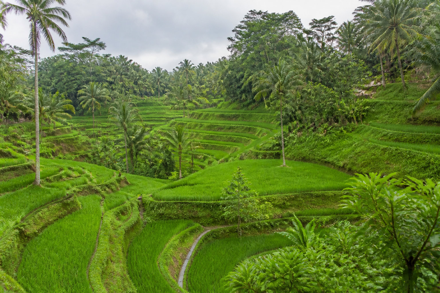 L'essentiel à retenir pour ton voyage à Bali