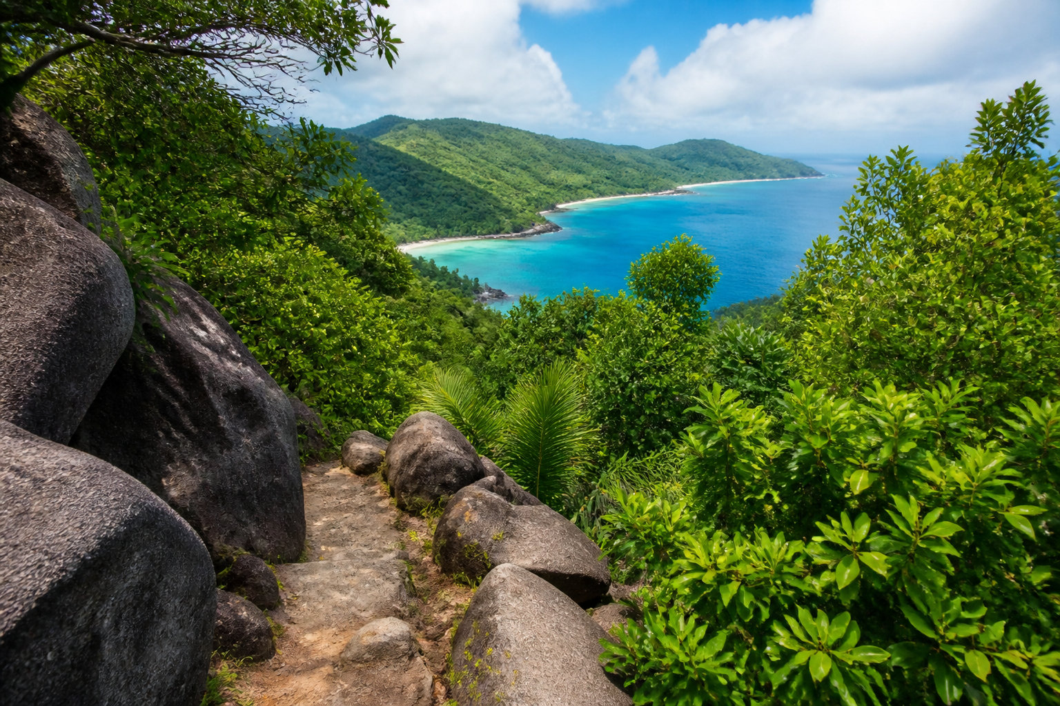 Maldives ou Seychelles : quel archipel choisir en 2026 ? 15 Activités et immersion : plongée pure ou aventure créole ?