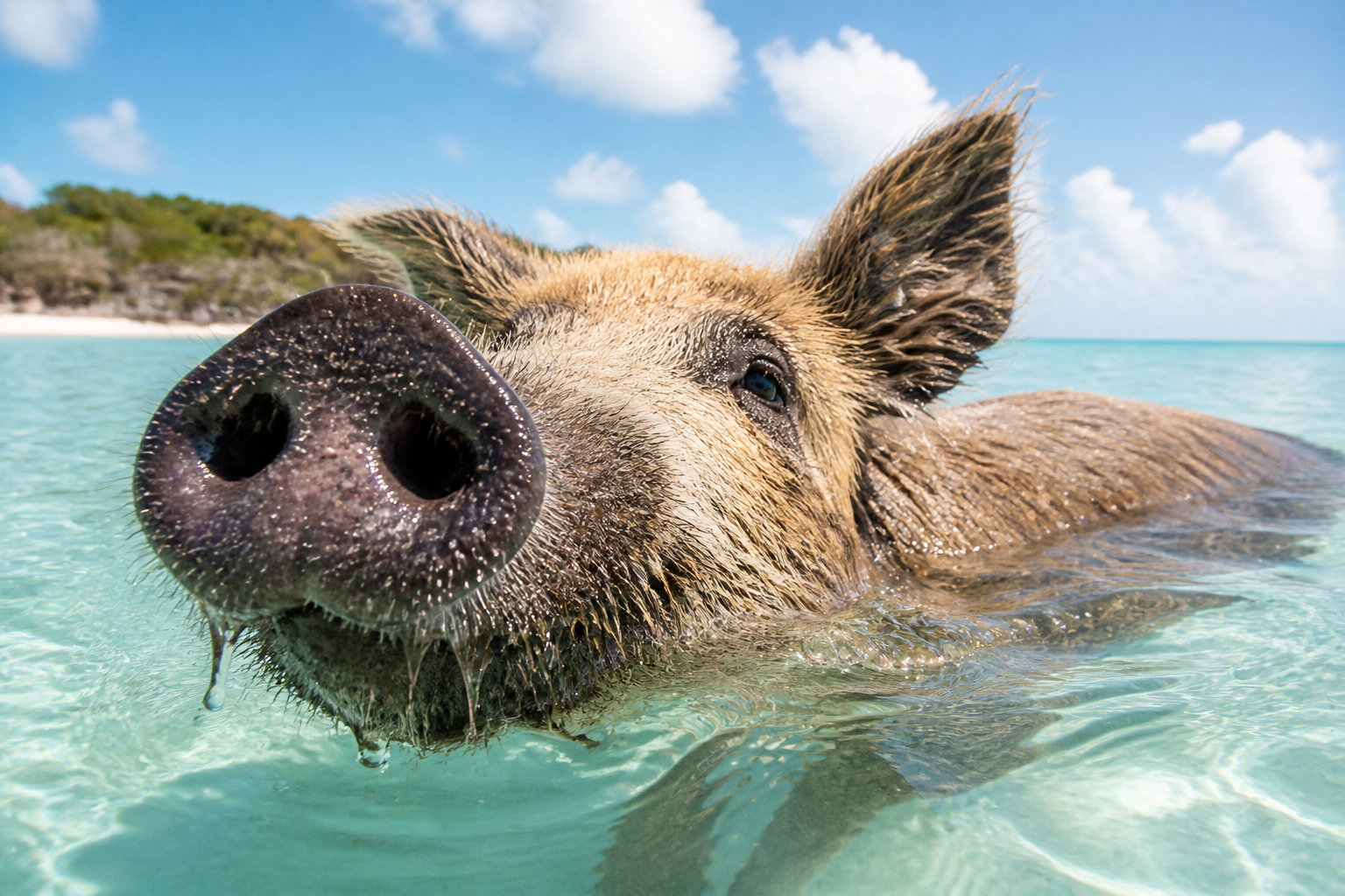 Quelle île paradisiaque choisir pour tes vacances ? 34 Les Bahamas pour la clarté des eaux caraïbes