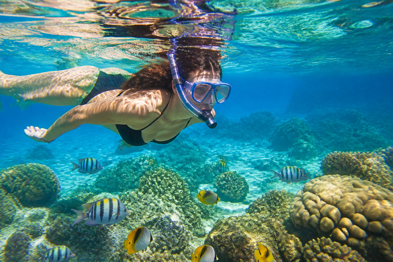 Comparaison des plages et des activités nautiques