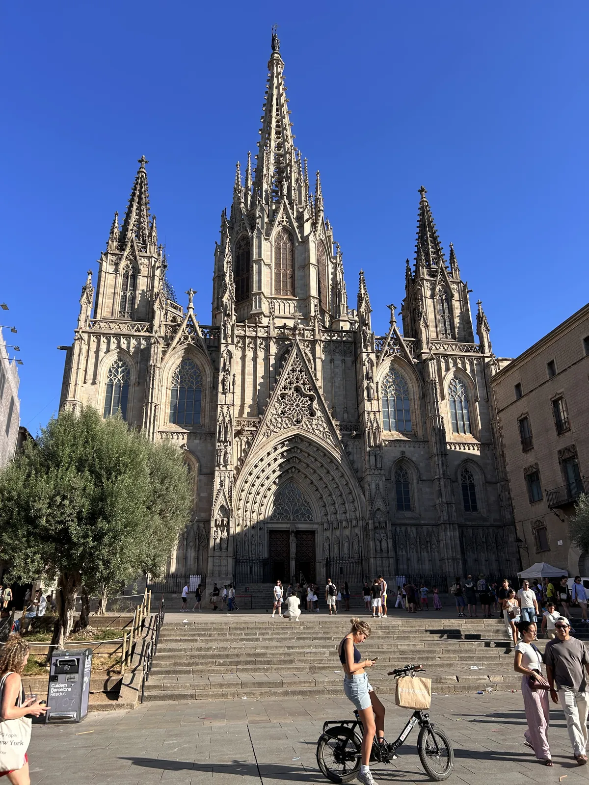 La cathédrale de Barcelone dans le Barri Gòtic