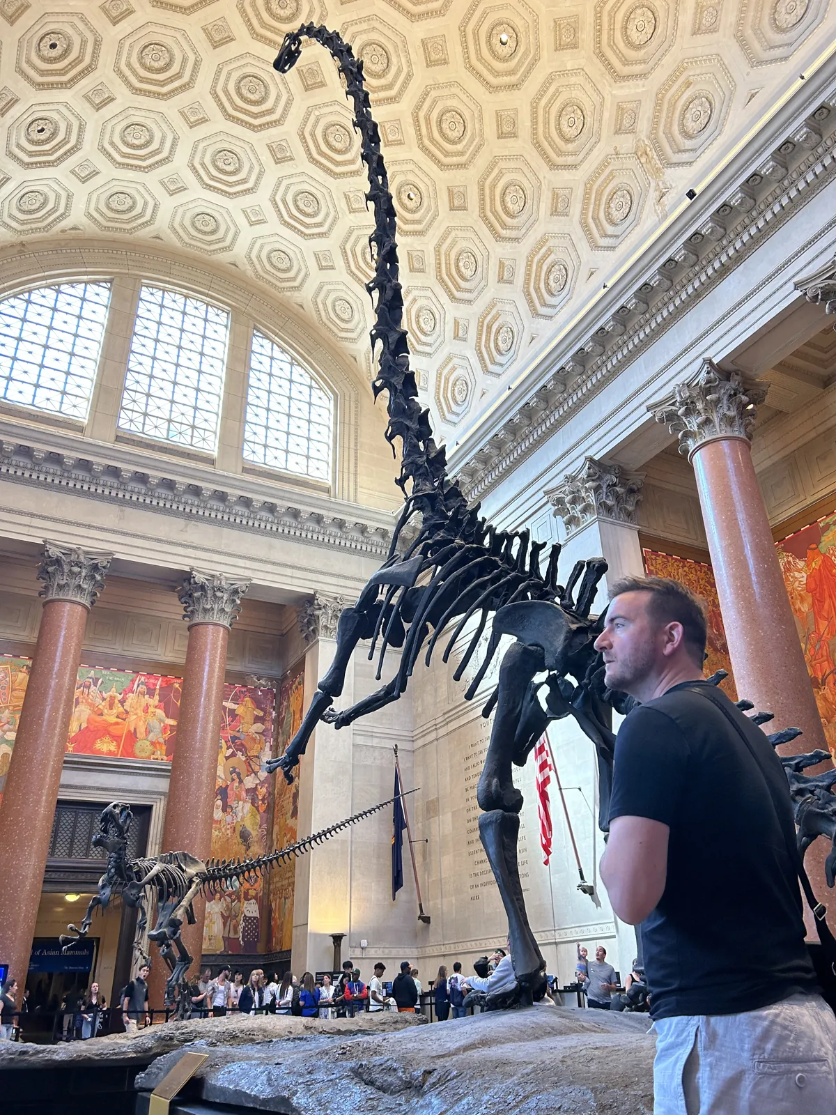 New York en 5 jours : mon carnet de voyage et mes conseils testés sur place 20 Mike devant le Barosaurus du hall du Museum d'histoire naturelle