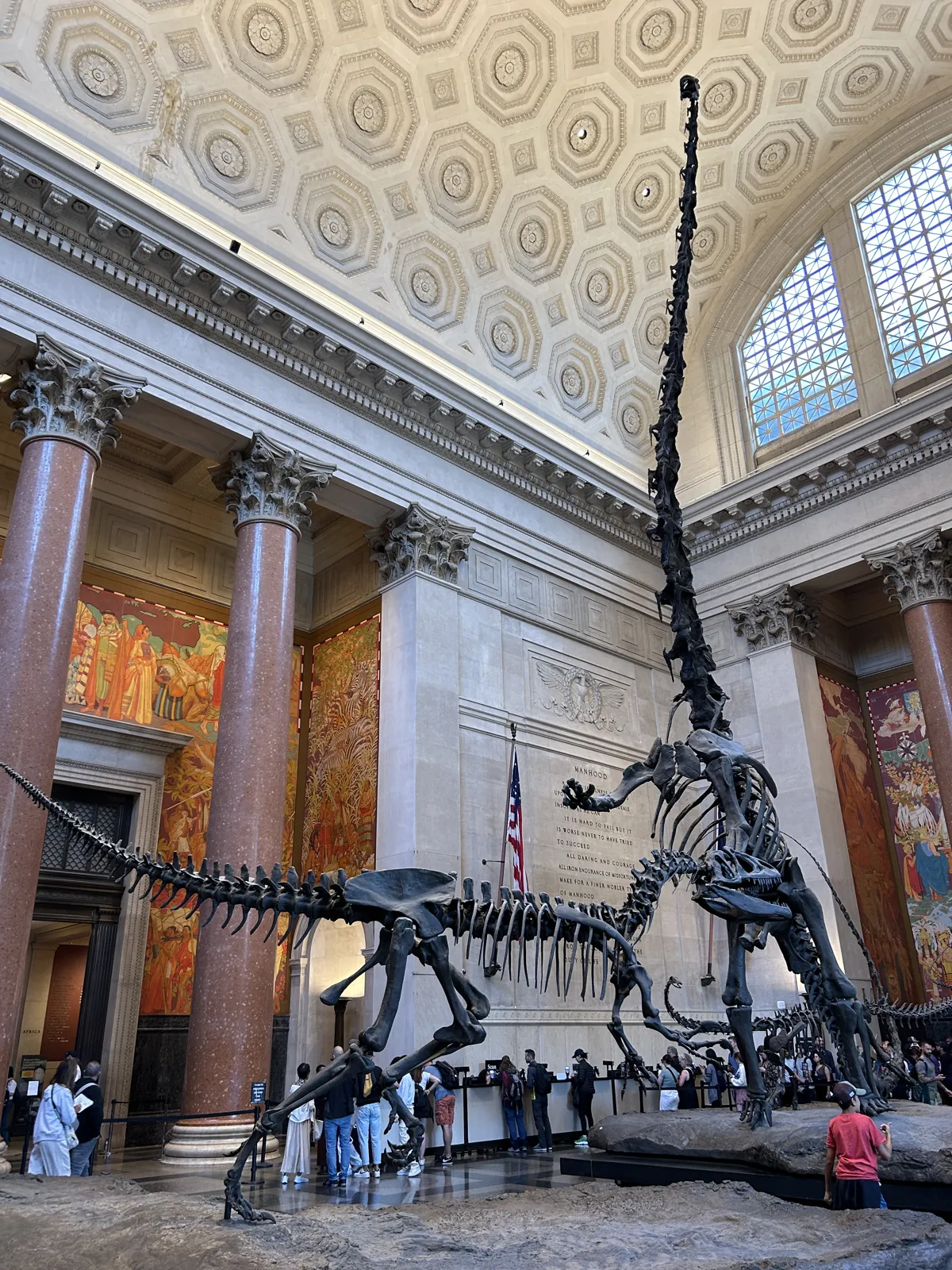 New York en 5 jours : mon carnet de voyage et mes conseils testés sur place 19 Le squelette de dinosaure du hall d'entrée de l'American Museum of Natural History