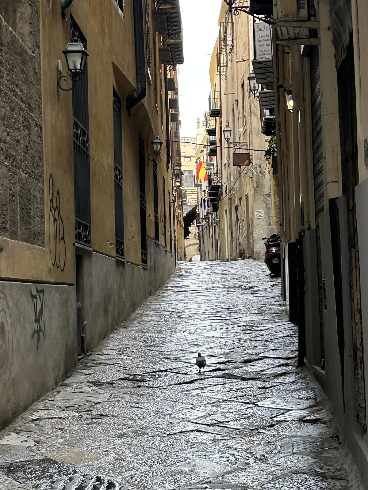 Visiter Palerme en 3 jours : mon carnet de voyage testé sur place 36 Une ruelle pavée, encore mouillée