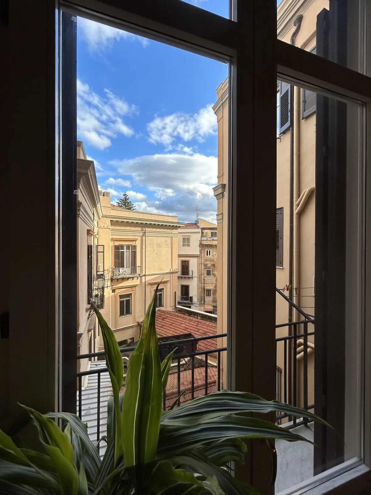 Visiter Palerme en 3 jours : mon carnet de voyage testé sur place 13 La vue depuis la fenêtre du loft, sur les toits et les façades du quartier